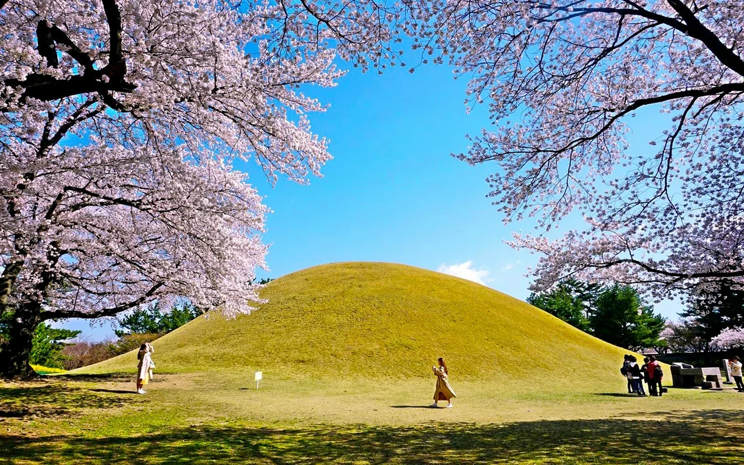 From Busan: Gyeongju UNESCO World Heritage Site Full-Day Guided Tour Image 5