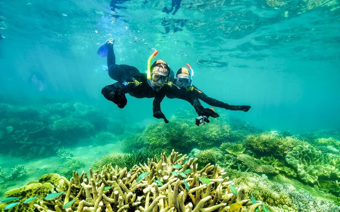 From Cairns: 2 Islands in 1 Day Trip of Fitzroy & Green Islands Image 1
