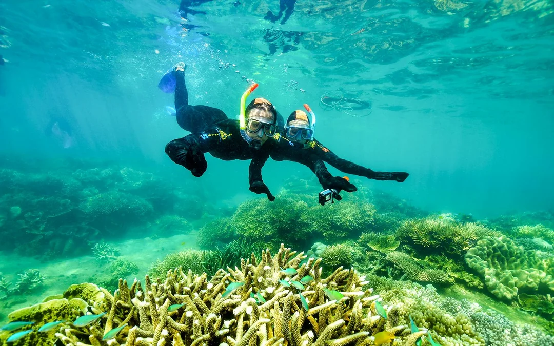 From Cairns: 2 Islands in 1 Day Trip of Fitzroy & Green Islands Image 1