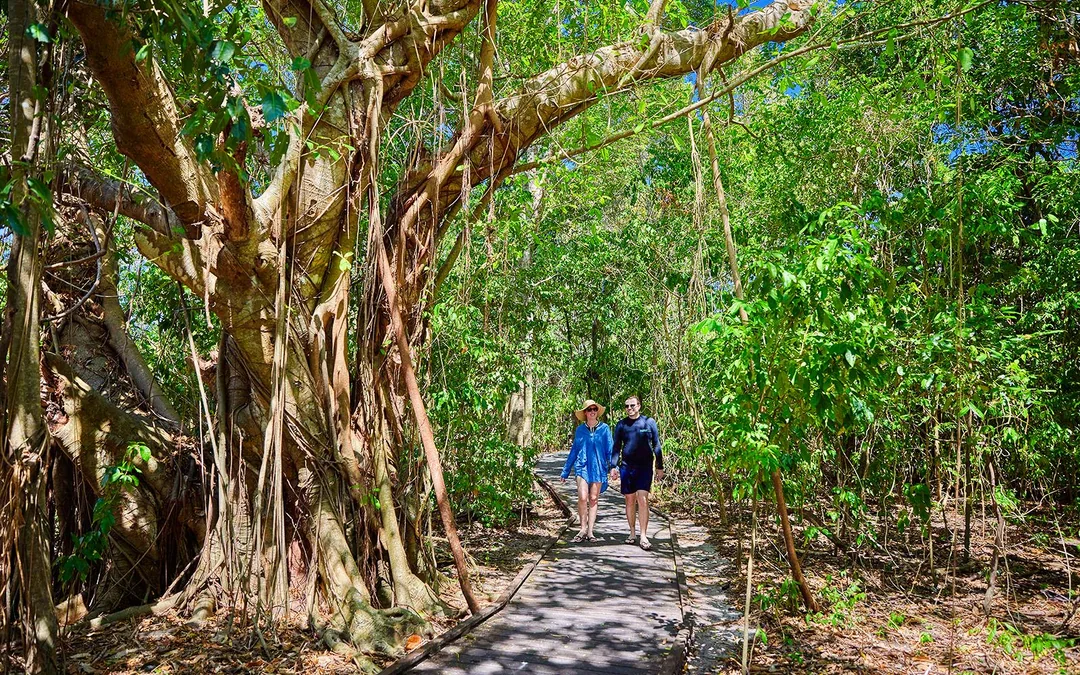 From Cairns: 2 Islands in 1 Day Trip of Fitzroy & Green Islands Image 4