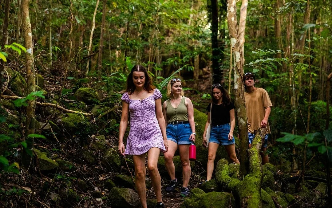 From Cairns: 2 Islands in 1 Day Trip of Fitzroy & Green Islands Image 7