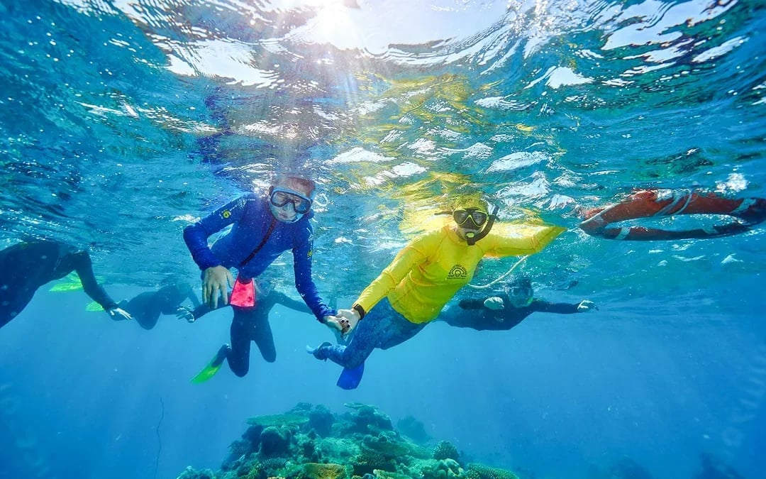 From Cairns: 2 Islands in 1 Day Trip of Fitzroy & Green Islands Image 8