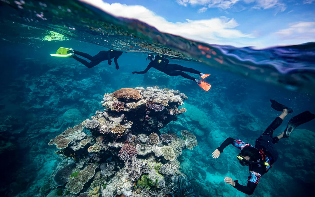 From Cairns: Dreamtime Dive & Snorkel Experience Tickets Image 2