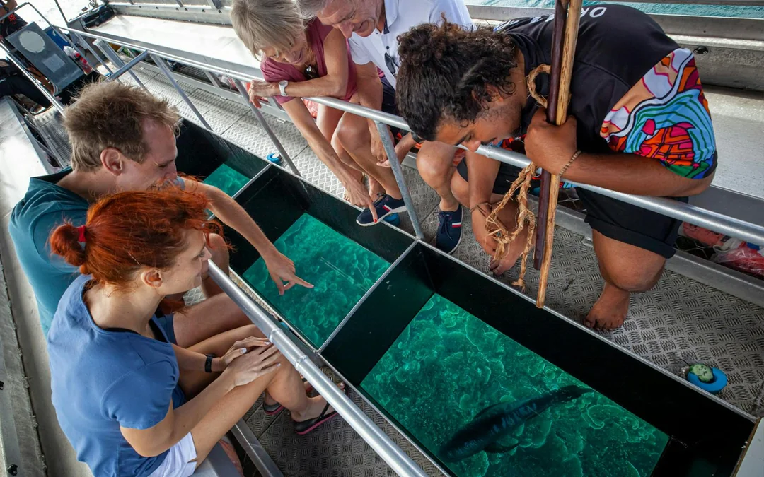 From Cairns: Dreamtime Dive & Snorkel Experience Tickets Image 4