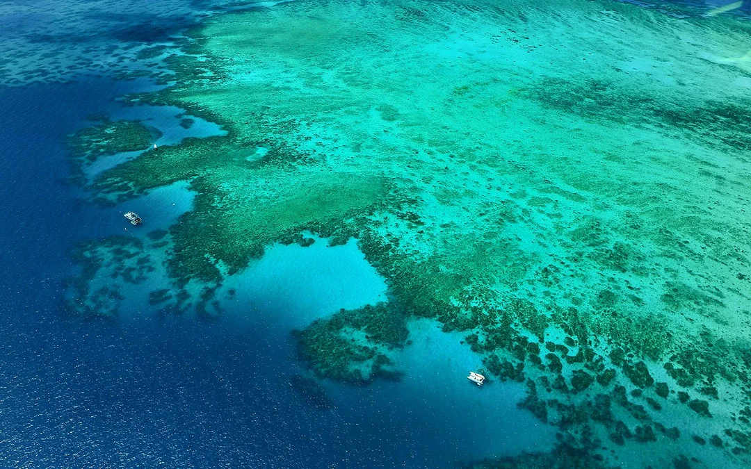 From Cairns: Outer Great Barrier Reef 40‑Minute Scenic Flight Image 5