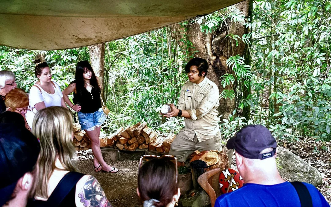 From Cairns/ Port Douglas: Full Day Tour of Daintree, Mossman Gorge & Cape Tribulation with Lunch & River Cruise Image 3