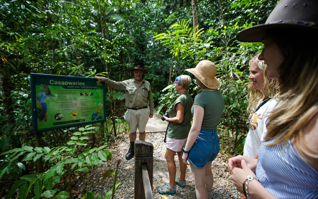 From Cairns/Port Douglas: Small Group Full Day 4WD Tour of Daintree Rainforest, Cape Tribulation, River Cruise, Lunch & Ice-Cream
 Image 2