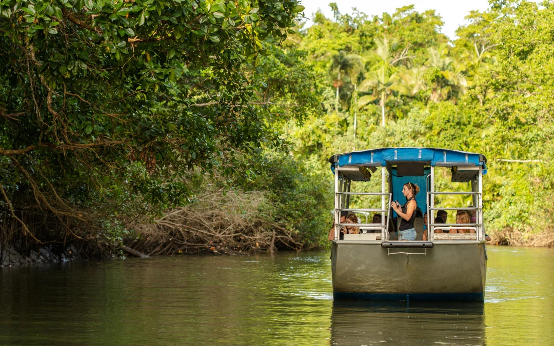From Cairns/Port Douglas: Small Group Full Day 4WD Tour of Daintree Rainforest, Cape Tribulation, River Cruise, Lunch & Ice-Cream
 Image 12
