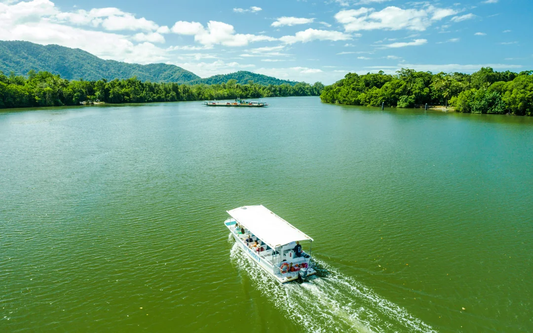 From Cairns/Port Douglas: Small Group Full Day 4WD Tour of Daintree Rainforest, Cape Tribulation, River Cruise, Lunch & Ice-Cream
 Image 3