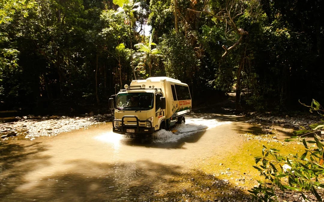 From Cairns/Port Douglas: Small Group Full Day 4WD Tour of Daintree Rainforest, Cape Tribulation, River Cruise, Lunch & Ice-Cream
 Image 4