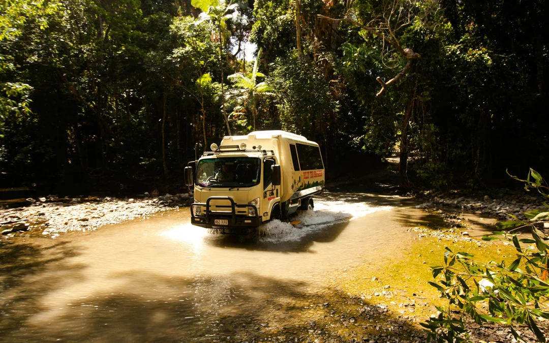 From Cairns/Port Douglas: Small Group Full Day 4WD Tour of Daintree Rainforest, Cape Tribulation, River Cruise, Lunch & Ice-Cream
 Image 4