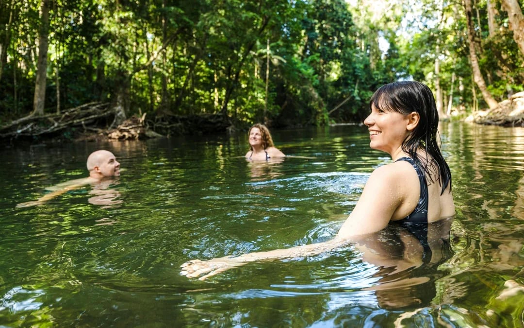 From Cairns/Port Douglas: Small Group Full Day 4WD Tour of Daintree Rainforest, Cape Tribulation, River Cruise, Lunch & Ice-Cream
 Image 6