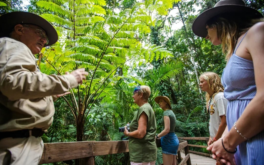 From Cairns/Port Douglas: Small Group Full Day 4WD Tour of Daintree Rainforest, Cape Tribulation, River Cruise, Lunch & Ice-Cream
 Image 7
