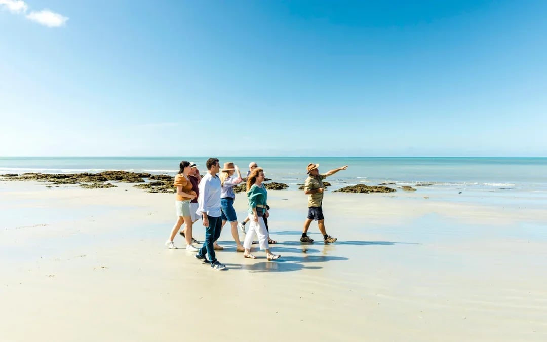 From Cairns/Port Douglas: Small Group Full Day 4WD Tour of Daintree Rainforest, Cape Tribulation, River Cruise, Lunch & Ice-Cream
 Image 10