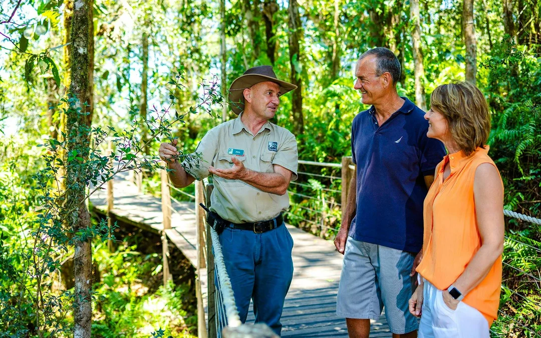 From Cairns: Scenic Train & Coach Guided Tour with Transfers Image 3