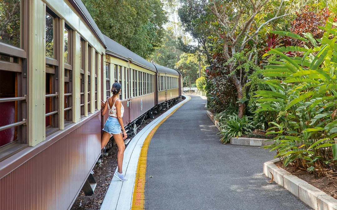 From Cairns: Scenic Train & Skyrail Kuranda Tour with Transfers Image 3