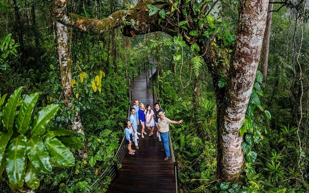 From Cairns: Scenic Train & Skyrail Kuranda Tour with Transfers Image 5