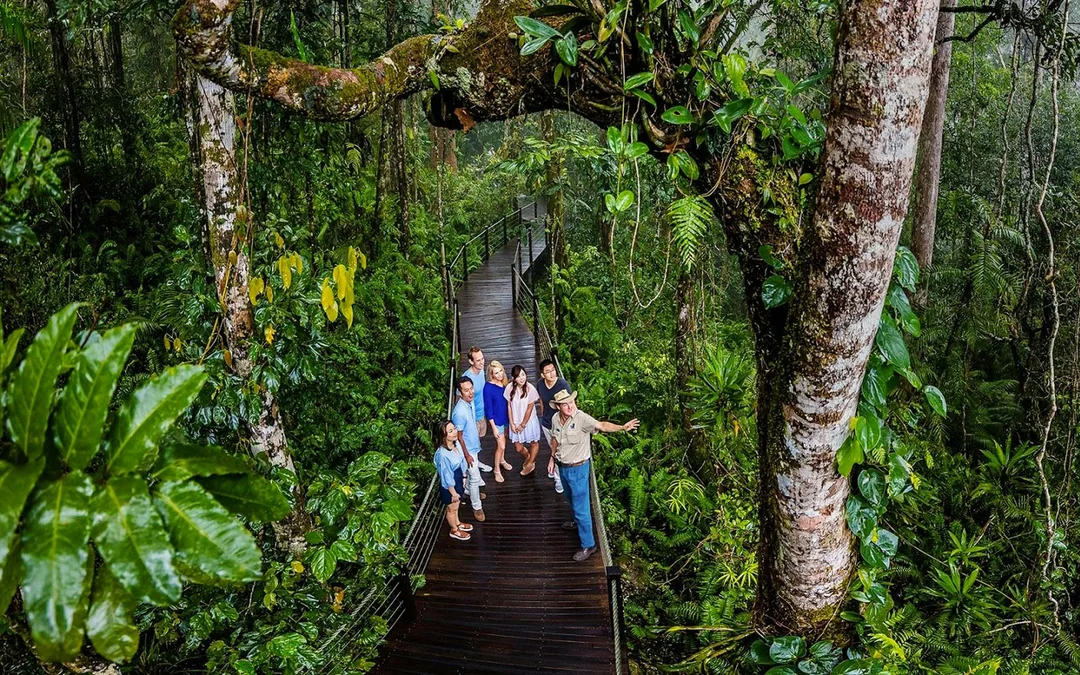 From Cairns: Scenic Train & Skyrail Kuranda Tour with Transfers Image 5