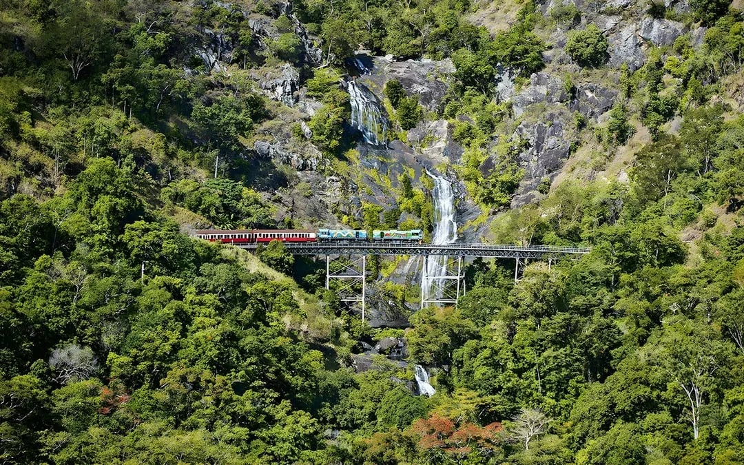 From Cairns: Scenic Train & Skyrail Kuranda Tour with Transfers Image 6
