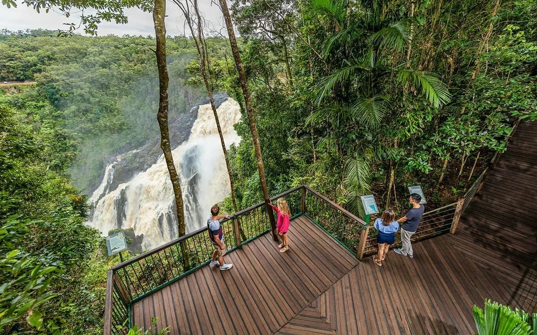 From Cairns: Scenic Train & Skyrail Kuranda Tour with Transfers Image 7