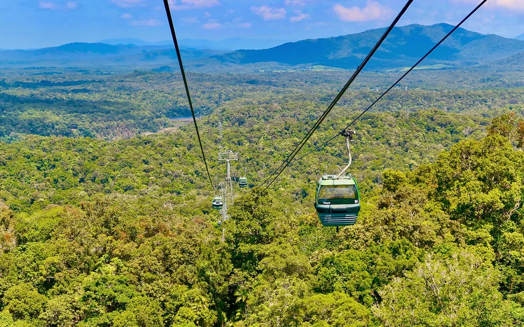 From Cairns: Scenic Train & Skyrail Kuranda Tour with Transfers Image 10
