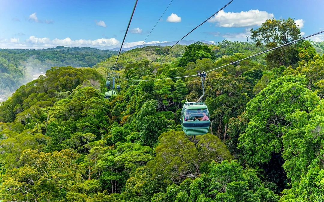 From Cairns: Scenic Train & Skyrail Self-Guided Kuranda Tour Image 3