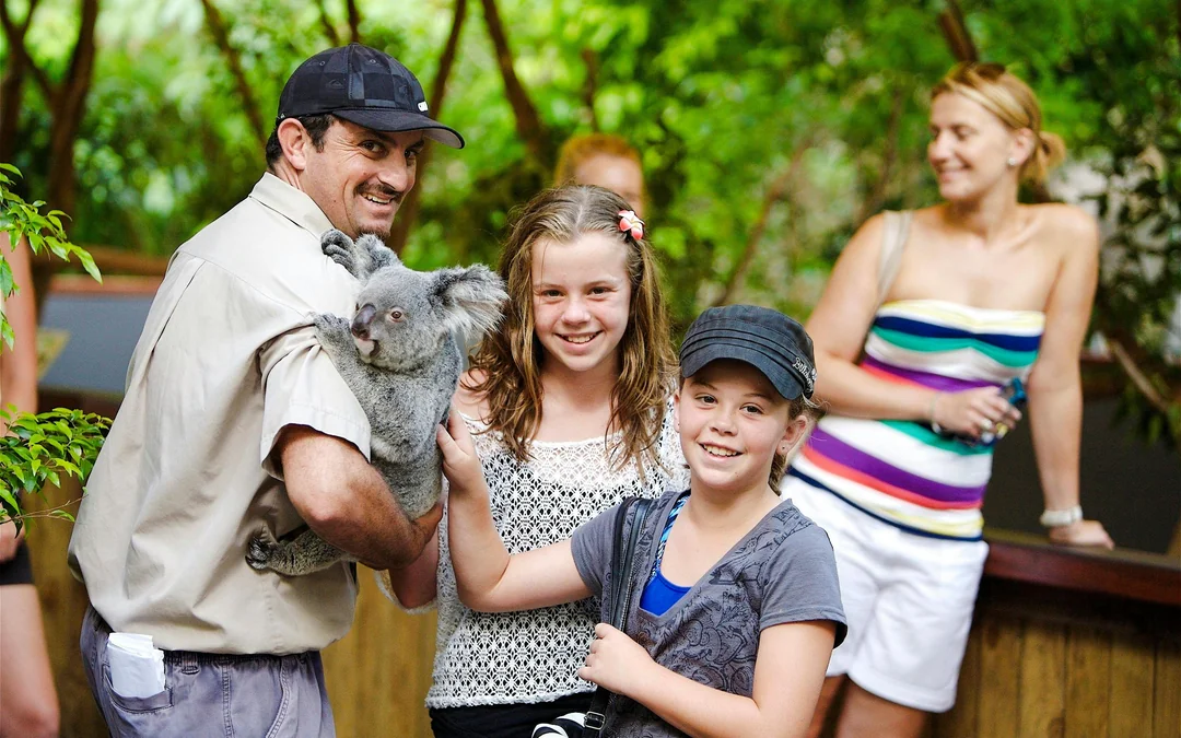 From Cairns: Scenic Train + Coach, Hartley's Crocodile Adventure Guided Tour with Transfers Image 5