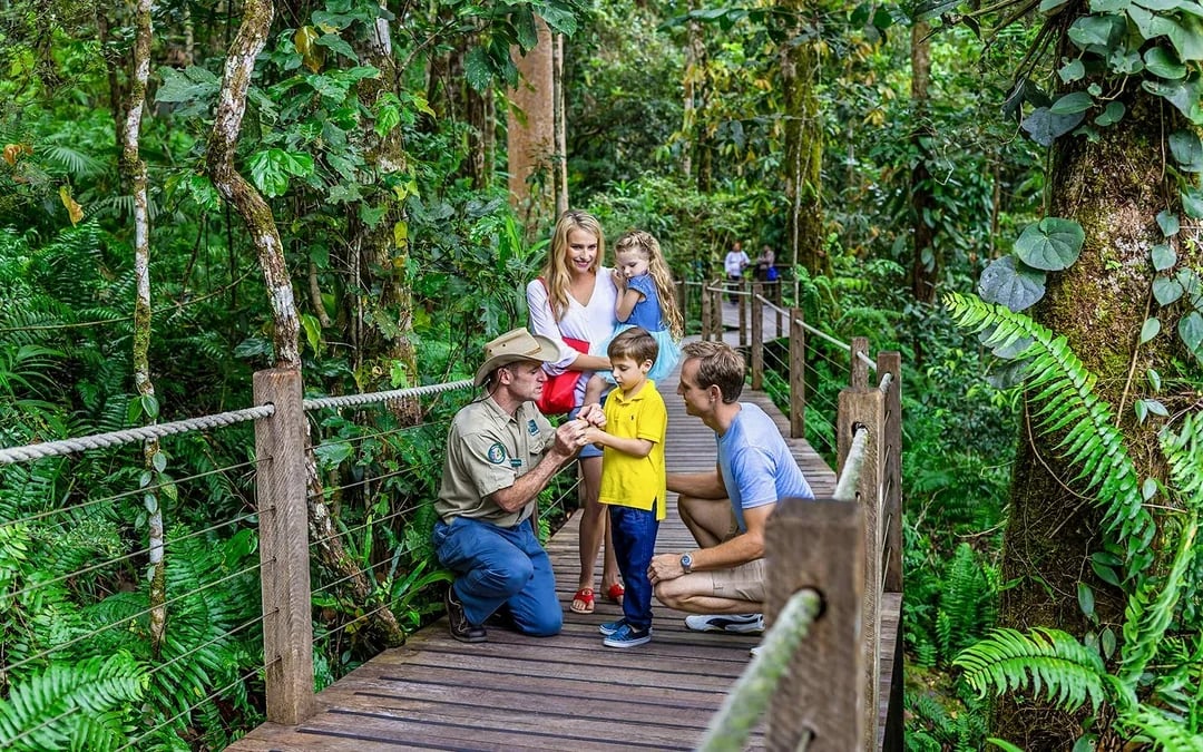 From Cairns: Scenic Train, Skyrail, & Hartley's Crocodile Adventures  Image 6
