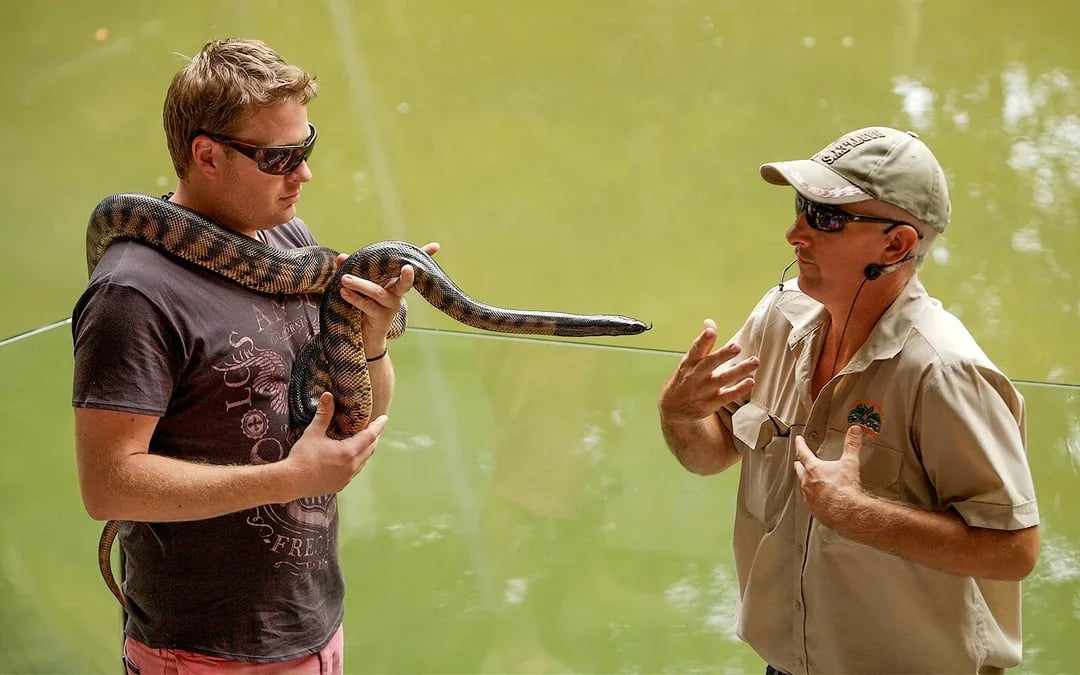 From Cairns: Scenic Train, Skyrail, & Hartley's Crocodile Adventures  Image 10