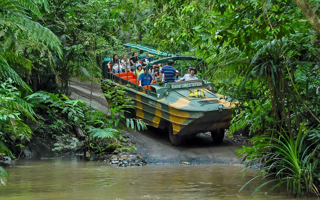 From Cairns: Scenic Train, Skyrail & Kuranda Rainforest Tour Image 5
