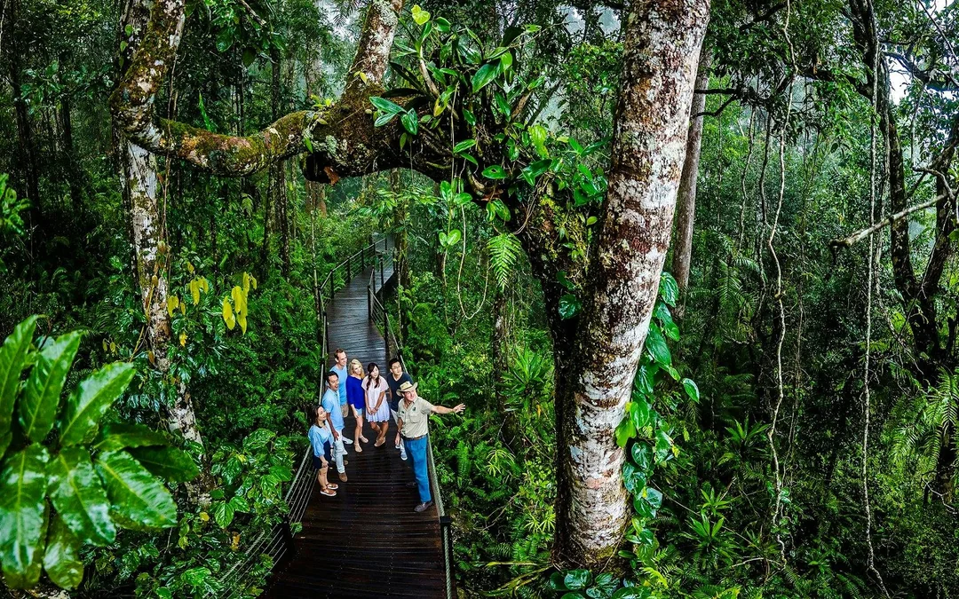 From Cairns: Self-Drive to Kuranda + Scenic Train Tour with In-Kuranda Transfers Image 4