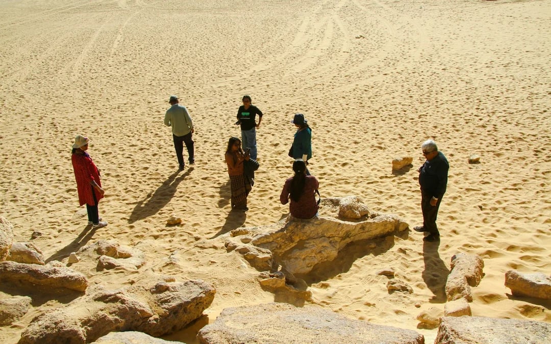 From Cairo: All-Inclusive Private Overnight White & Black Desert Camping Safari Image 7