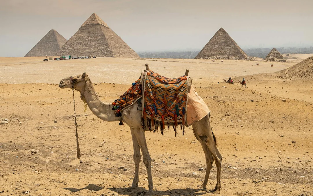 From Cairo: Full-Day Guided Tour of Giza Pyramids, Sphinx, Saqqara & Memphis with Entry Tickets, Lunch & Hotel Transfers Image 7