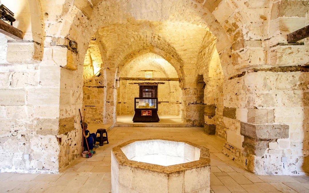 From Cairo: Full-Day Tour of Historical Alexandria with Optional Tickets & Lunch Upgrades Image 9