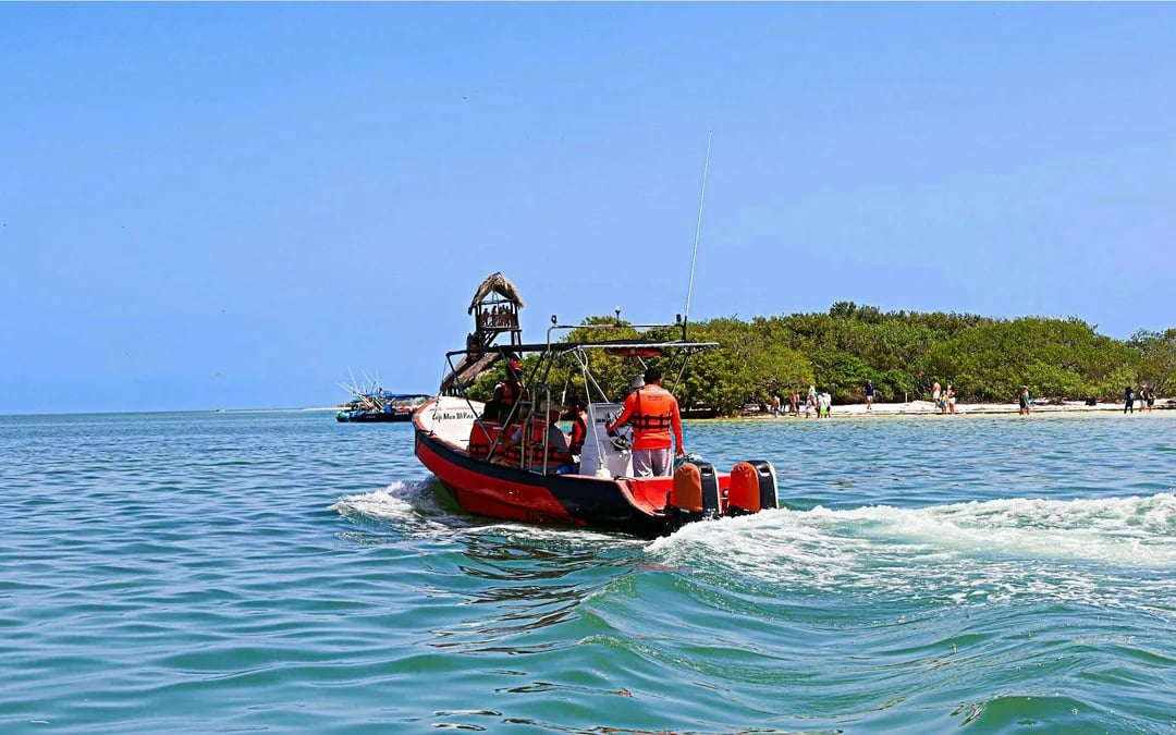 From Cancún: Holbox Island Day Trip with Isla Pasión, Punta Mosquito & Yalahau Spring Image 3