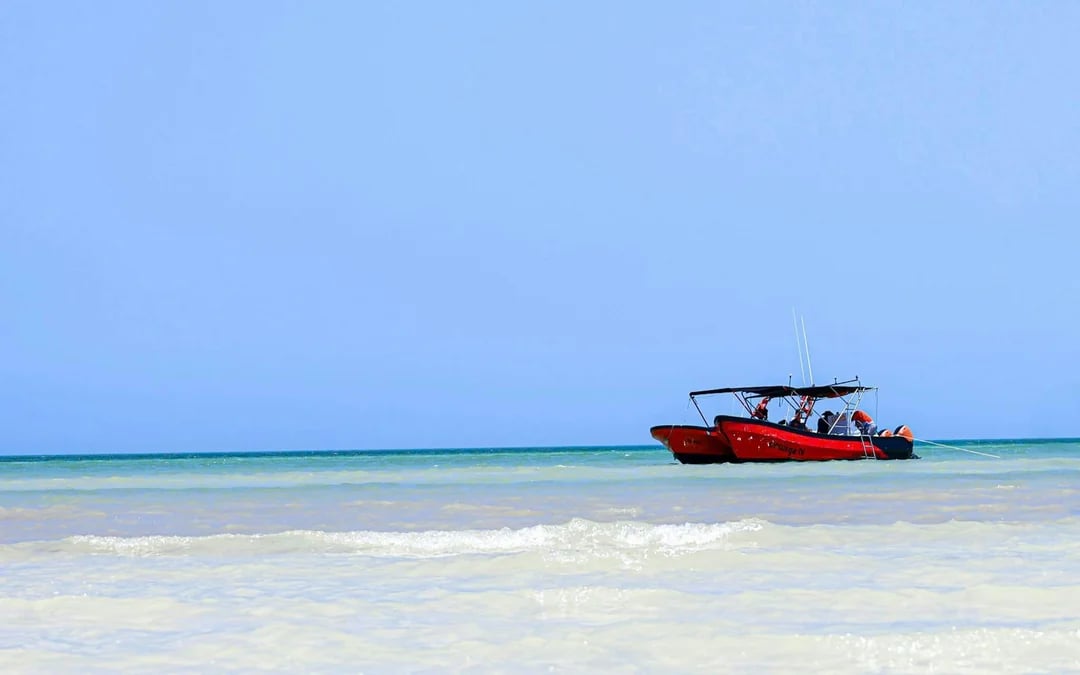 From Cancún: Holbox Island Day Trip with Isla Pasión, Punta Mosquito & Yalahau Spring Image 6