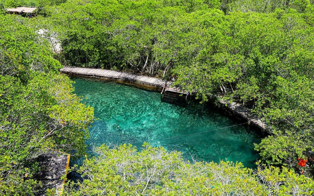 From Cancún: Holbox Island Day Trip with Isla Pasión, Punta Mosquito & Yalahau Spring Image 7
