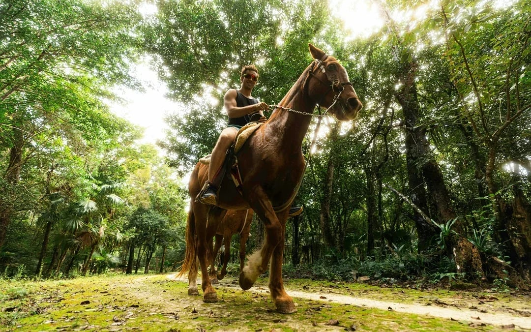From Cancun: Horseback Riding, ATV, Ziplines & Cenote Swim with Tequila Tasting Image 6