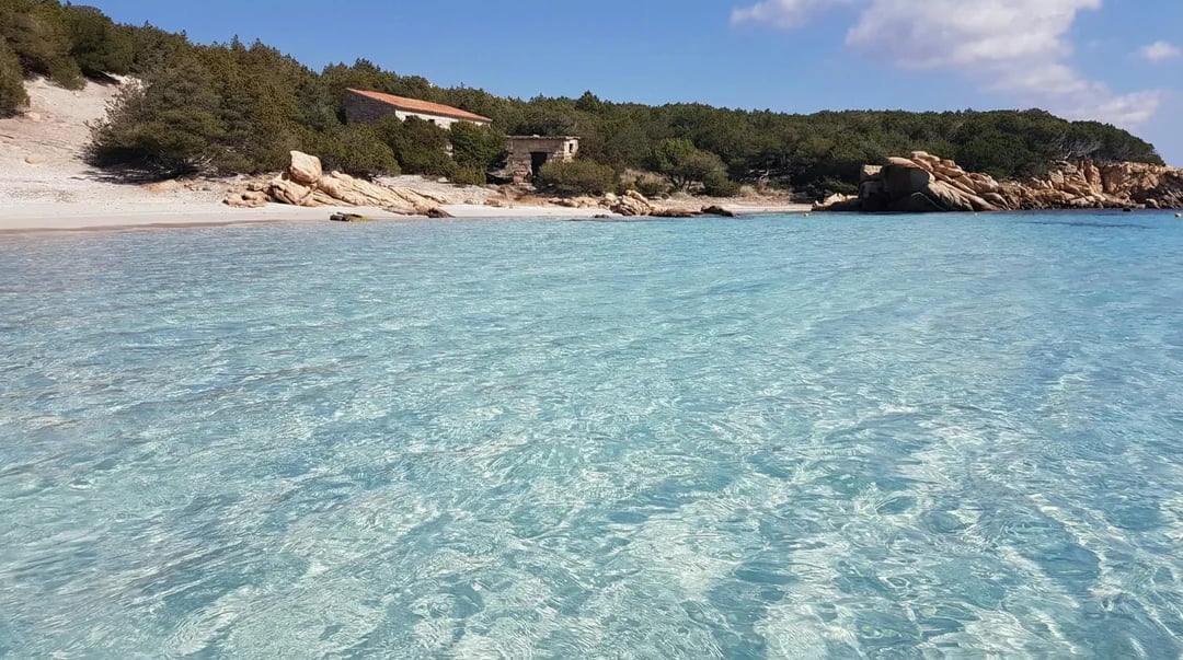 From Cannigione: catamaran tour among La Maddalena Archipelago Image 8