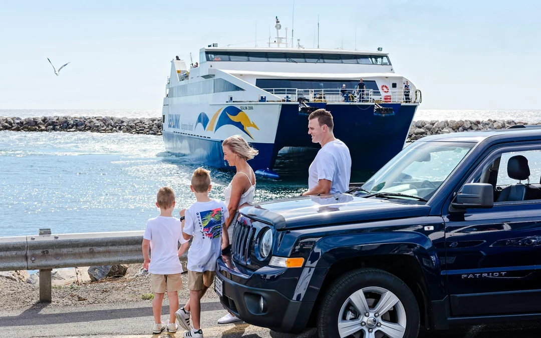 From Cape Jervis/ Kangaroo Island: One Way Ferry Tickets Image 3
