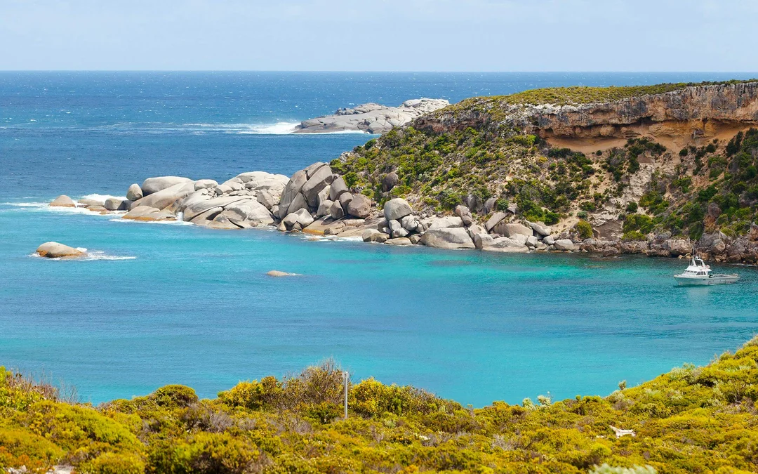 From Cape Jervis/ Kangaroo Island: One Way Ferry Tickets Image 7