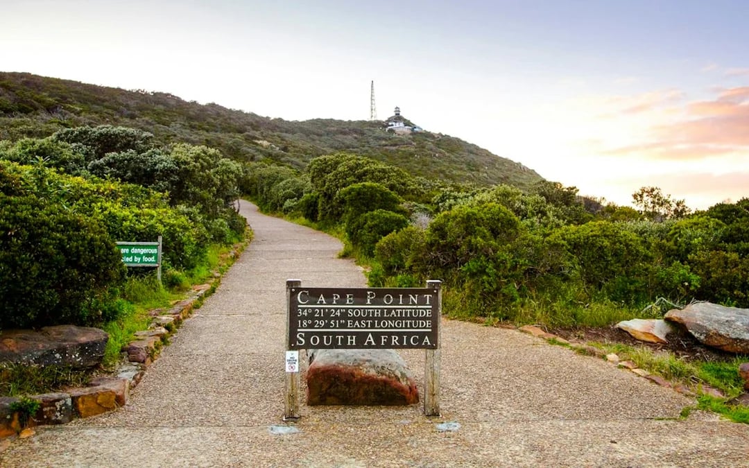 From Cape Town: Cape of Good Hope and Cape Point Tour with Boulders Beach Penguins Image 3