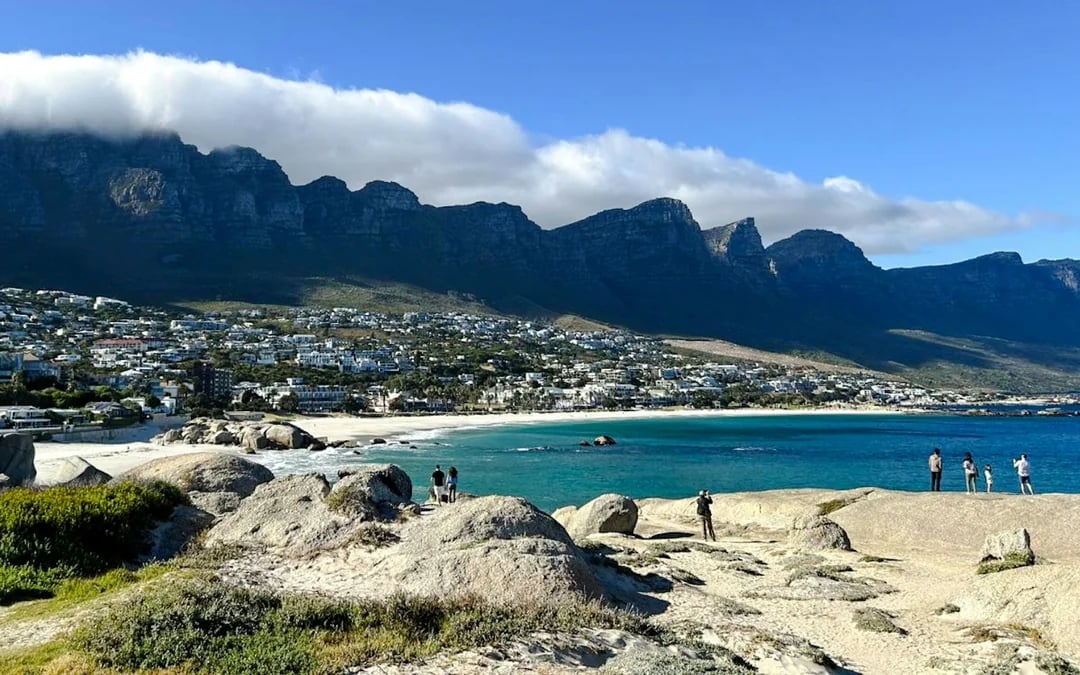 From Cape Town: Cape of Good Hope and Cape Point Tour with Boulders Beach Penguins Image 5
