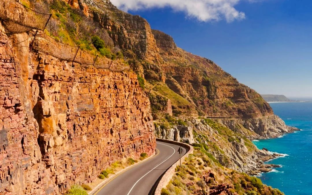 From Cape Town: Cape of Good Hope and Cape Point Tour with Boulders Beach Penguins Image 6