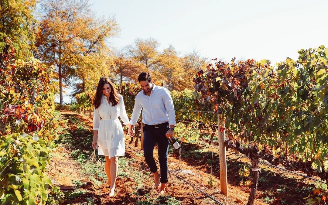 From Cape Town: Cape Winelands Tour to Stellenbosch and Franschhoek with Tastings and Guided Visits Image 1