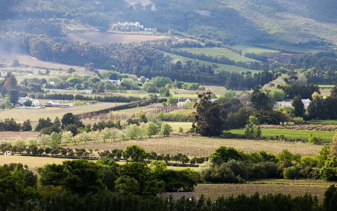 From Cape Town: Cape Winelands Tour to Stellenbosch and Franschhoek with Tastings and Guided Visits Image 4