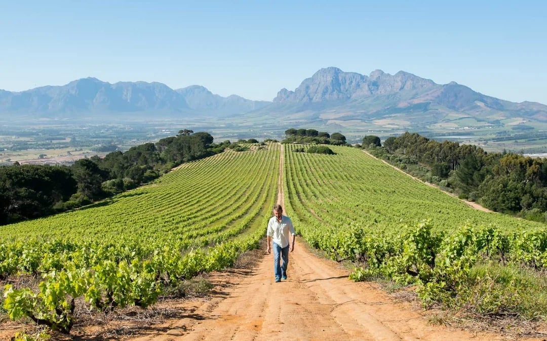 From Cape Town: Cape Winelands Tour to Stellenbosch and Franschhoek with Tastings and Guided Visits Image 5