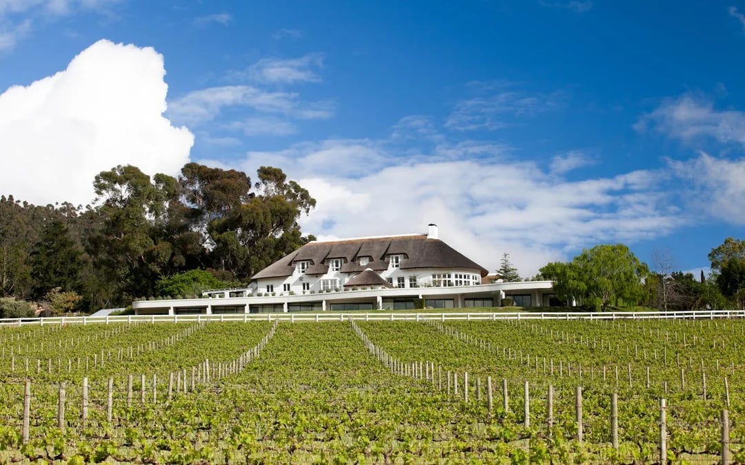 From Cape Town: Cape Winelands Tour to Stellenbosch and Franschhoek with Tastings and Guided Visits Image 8