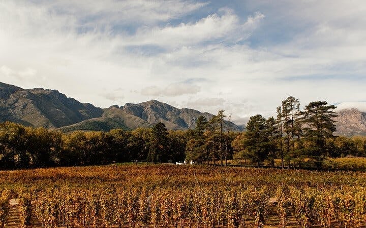 From Cape Town: Franschhoek Wine Tram Hop-on Hop-off Tour with Small-Group Transfers and Estate Guide Image 4