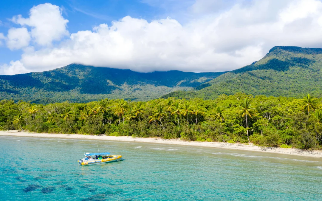 From Cape Tribulation: Great Barrier Reef Guided Snorkel & Eco Tour Image 1